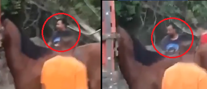 Homem é flagrado agredindo cavalo em Monsenhor Gil